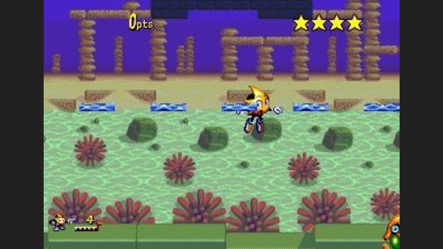 Hey, lets swim! There are nice things at the bottom