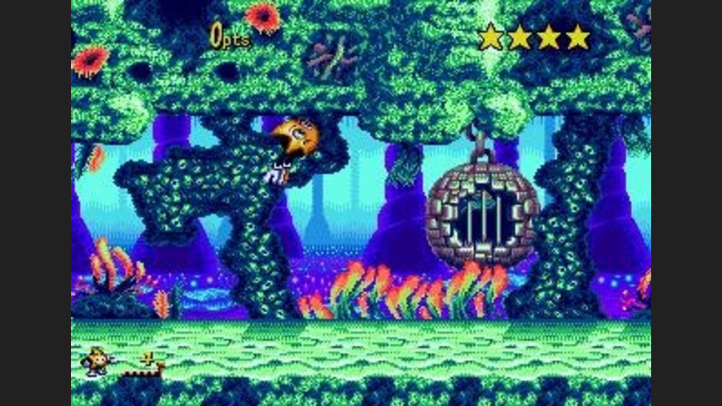 I look funny today... and whats in that cage?