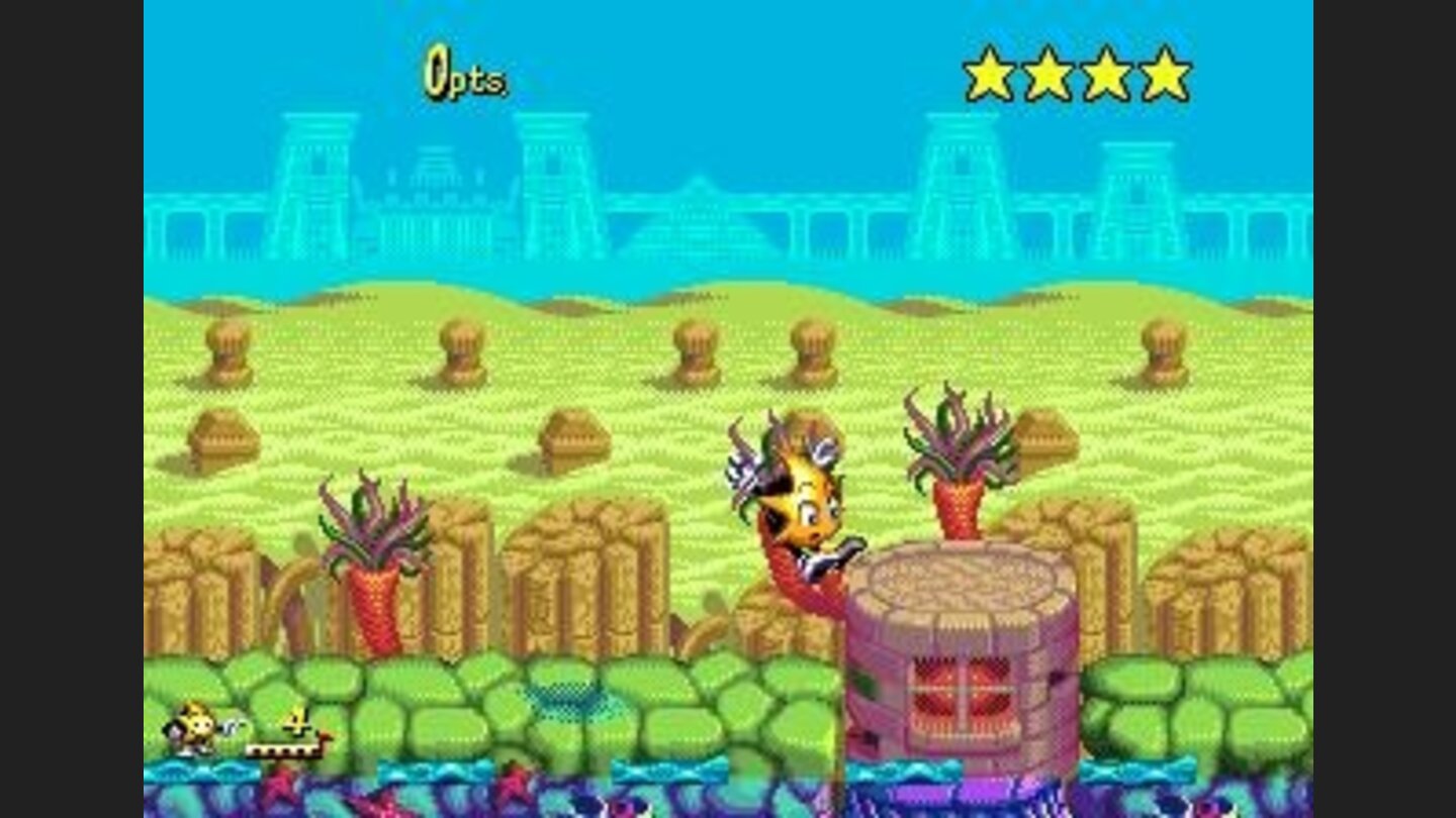 I actually never liked carrots