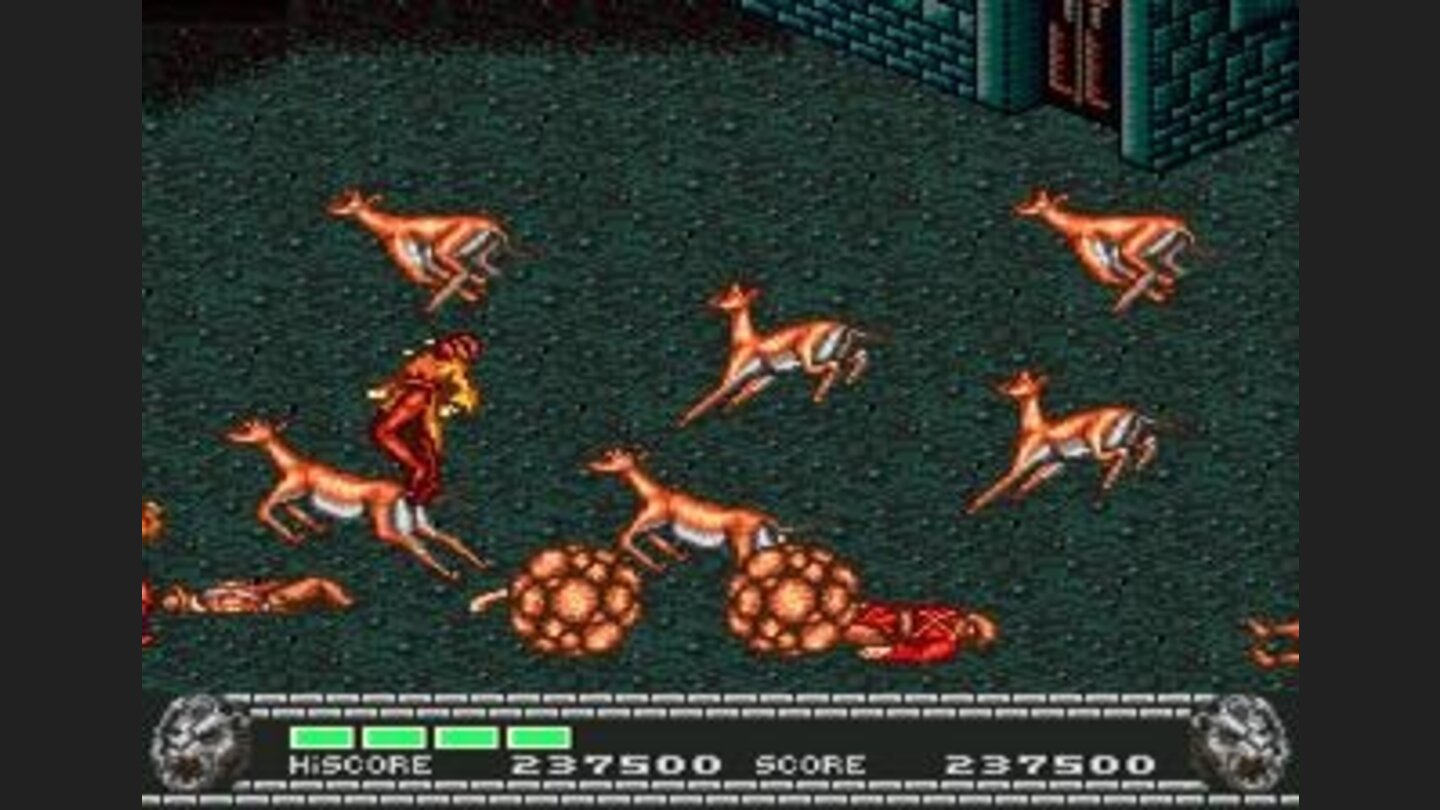 Deer Rampage