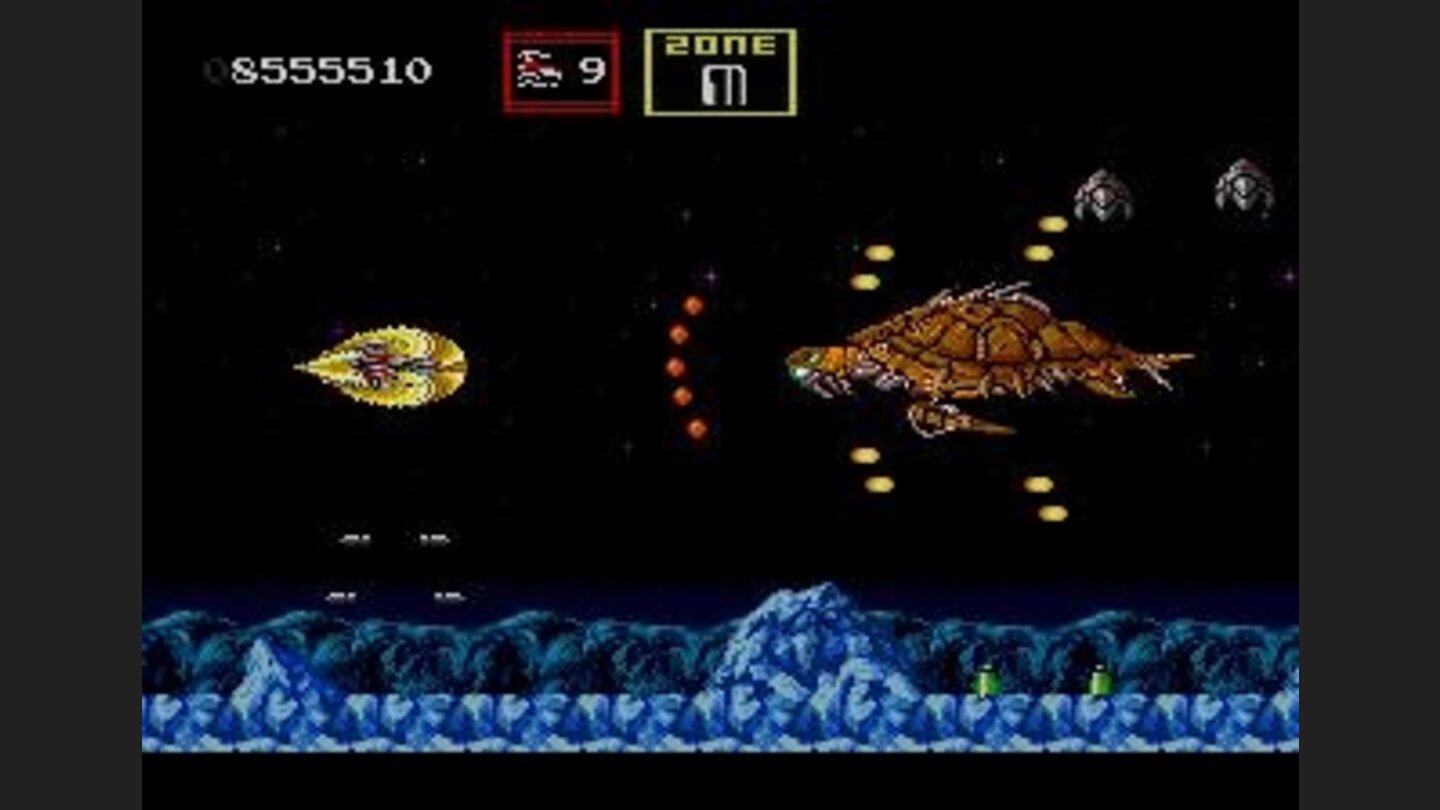 Attacking a sea turtle ?!