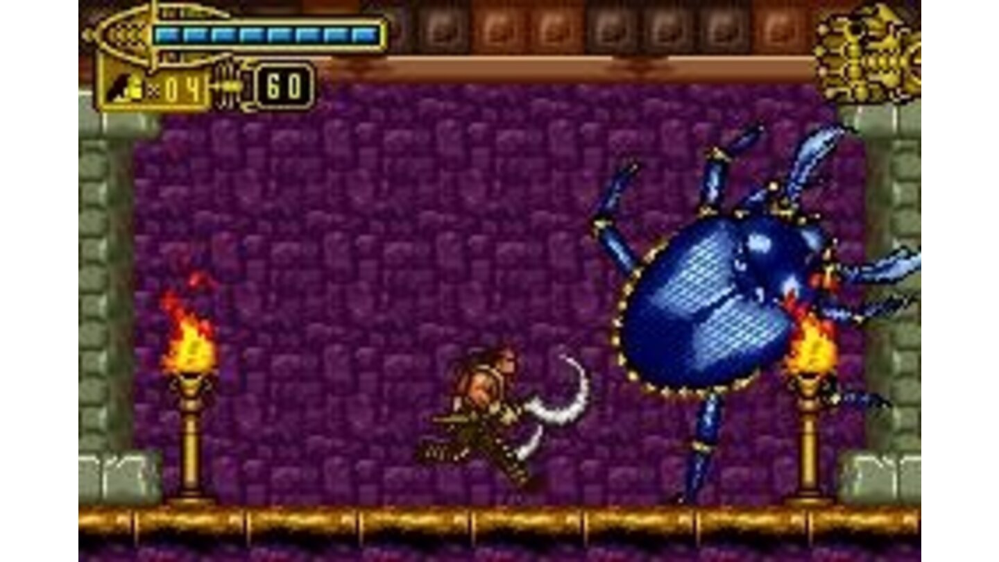 This gigantic beetle is other boss: attack it without mercy!