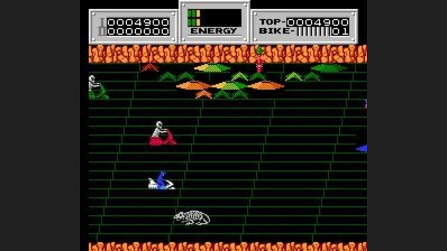 Bones of a long dead creature