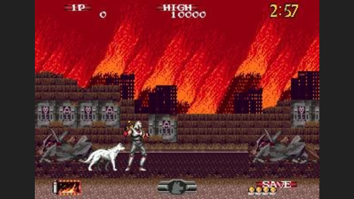 One Ninja and his dog