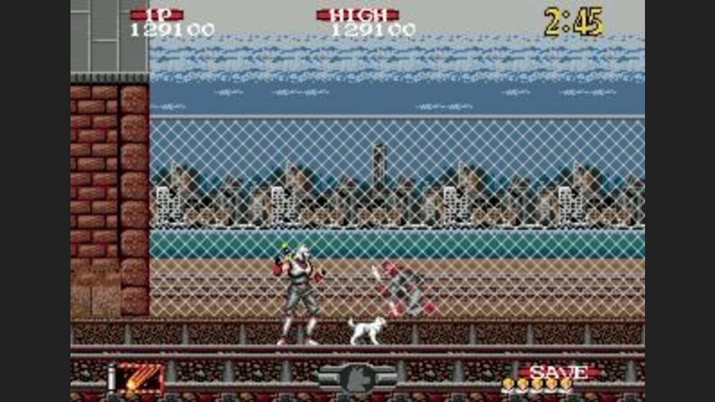 Your dog is not going to help you in his current state