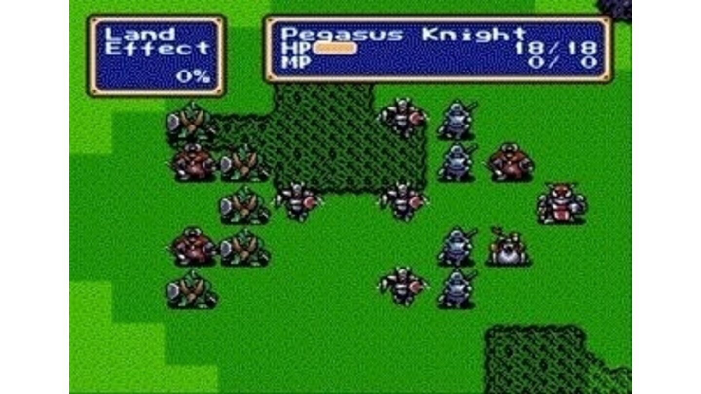 In typical RPG style, the evil kingdom employs monsters