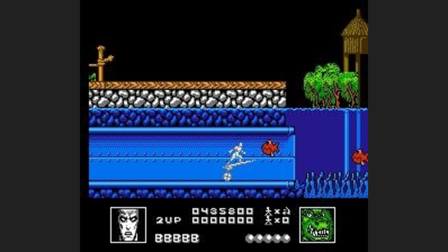 Underwater passage and fish