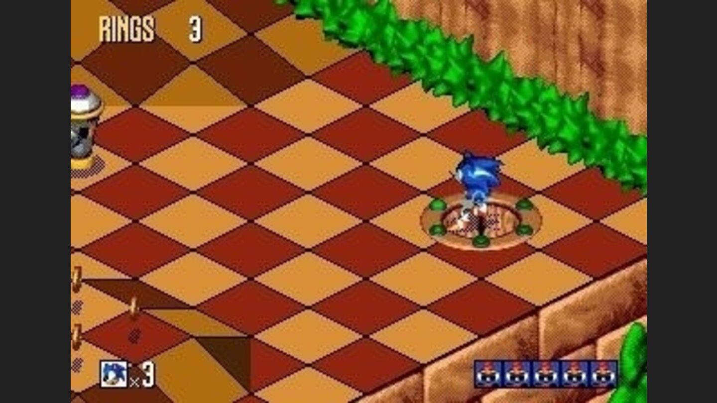 The Sonic faces in the lower right corner will change to birds as long as you are collecting them. Five birds is what you need at the current level