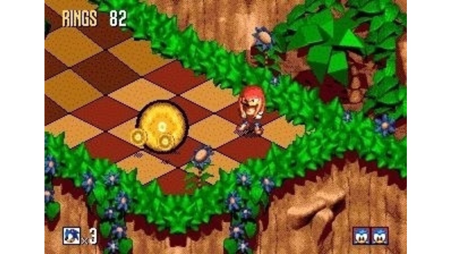 thats Knuckles, find him or Tails, and if you have enough rings, you get to try out the bonus stage..