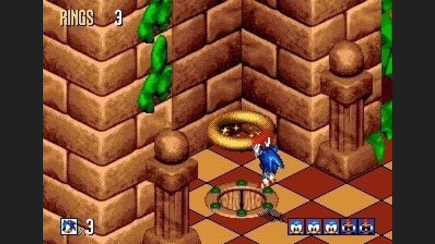 This ring will let you teleport to the next level, but only after you have collected all the birdies