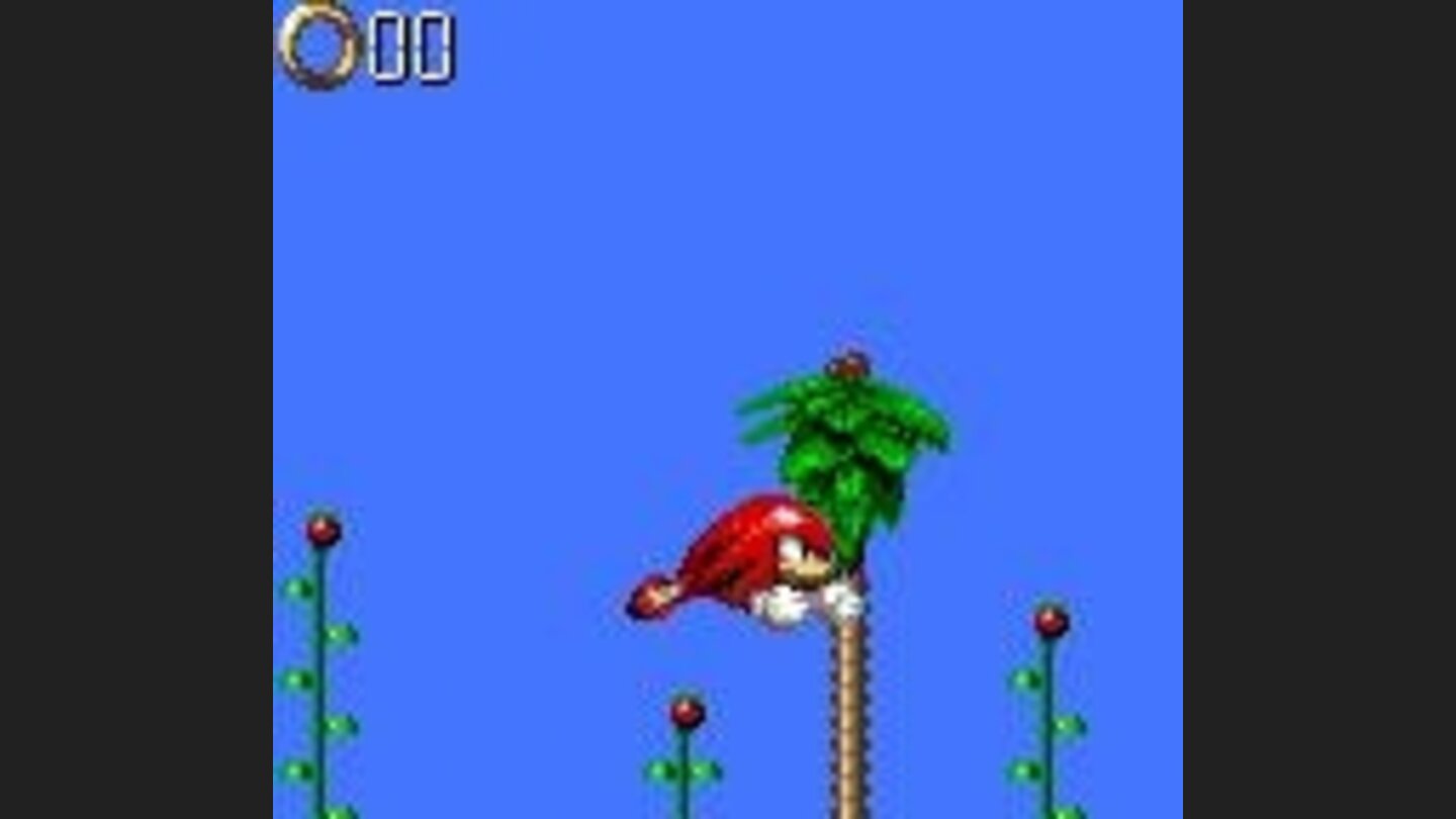 Knuckles can glide