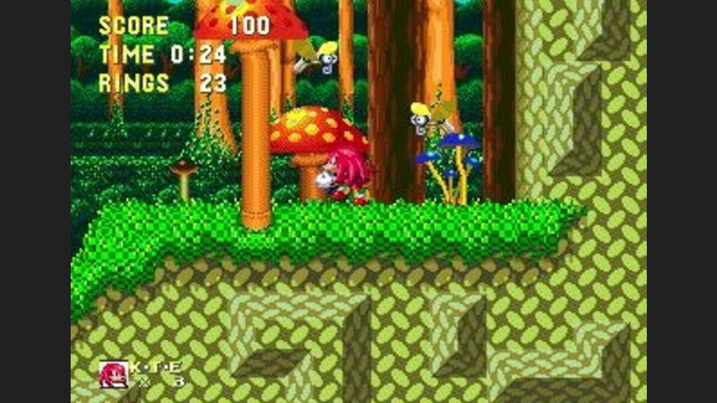 Knuckles is also a playable character.