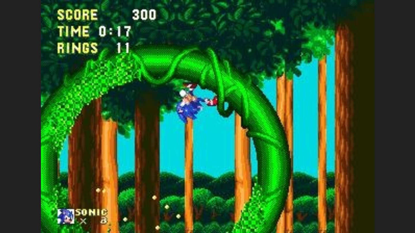 Mushroom Hill