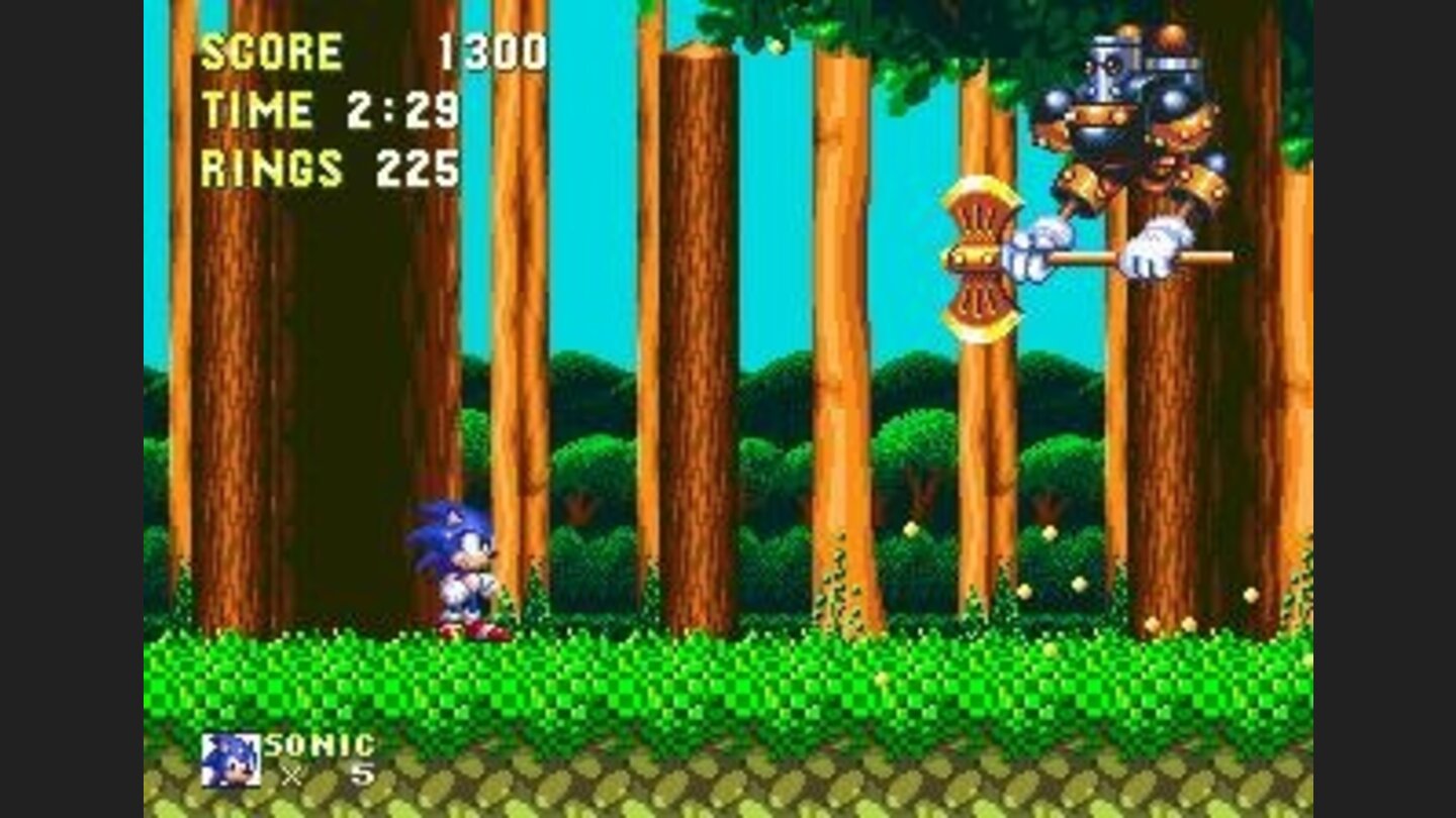 First Level Boss