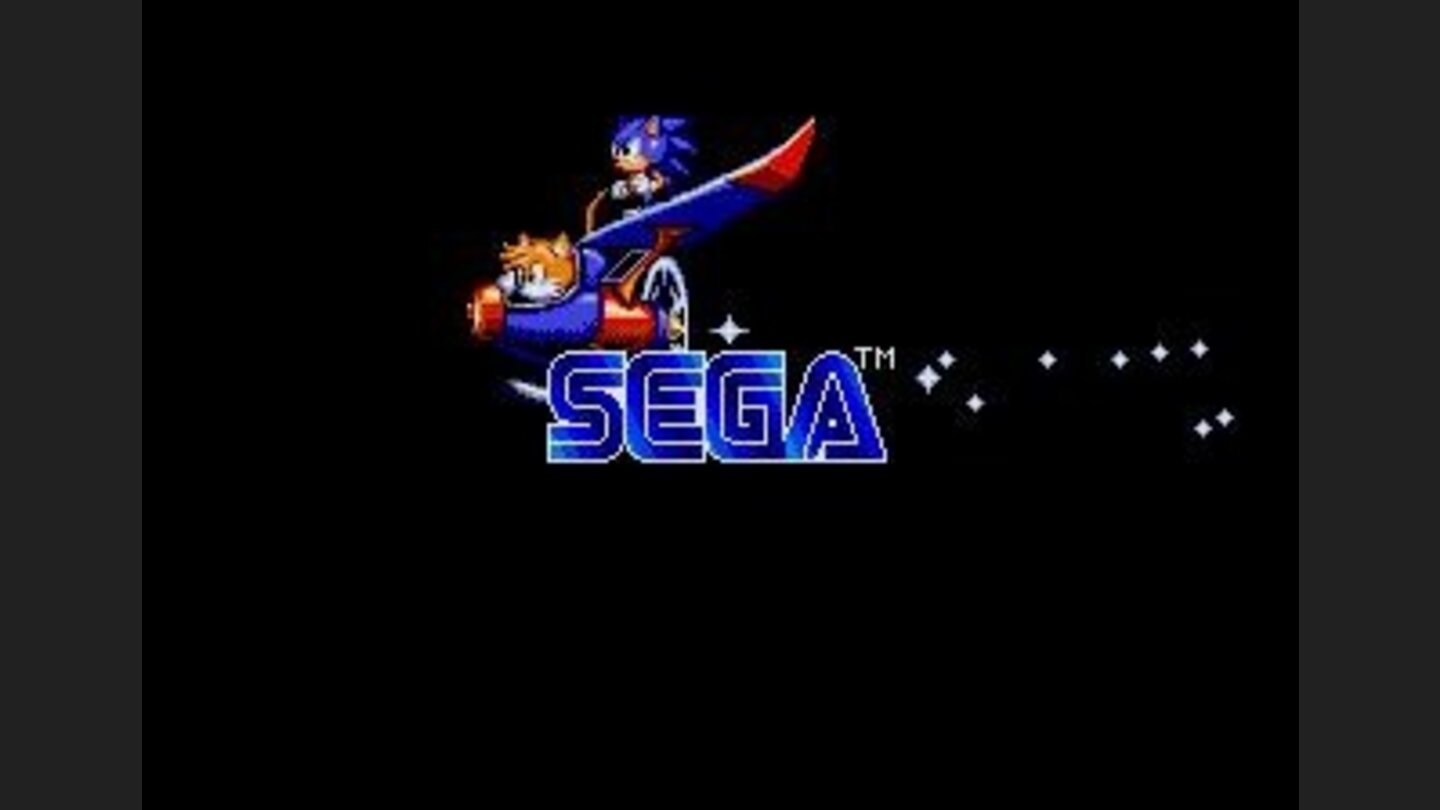 Sonic and Tails fly by