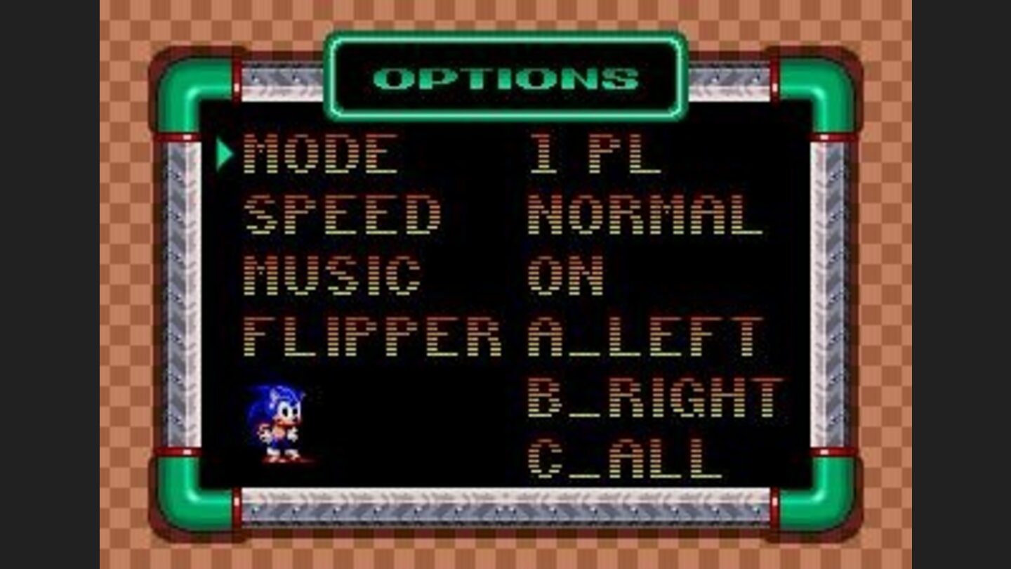 Sonic checks the options menu