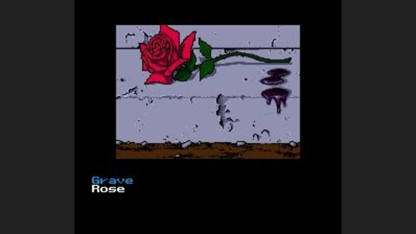 A rose, is a rose, is a rose