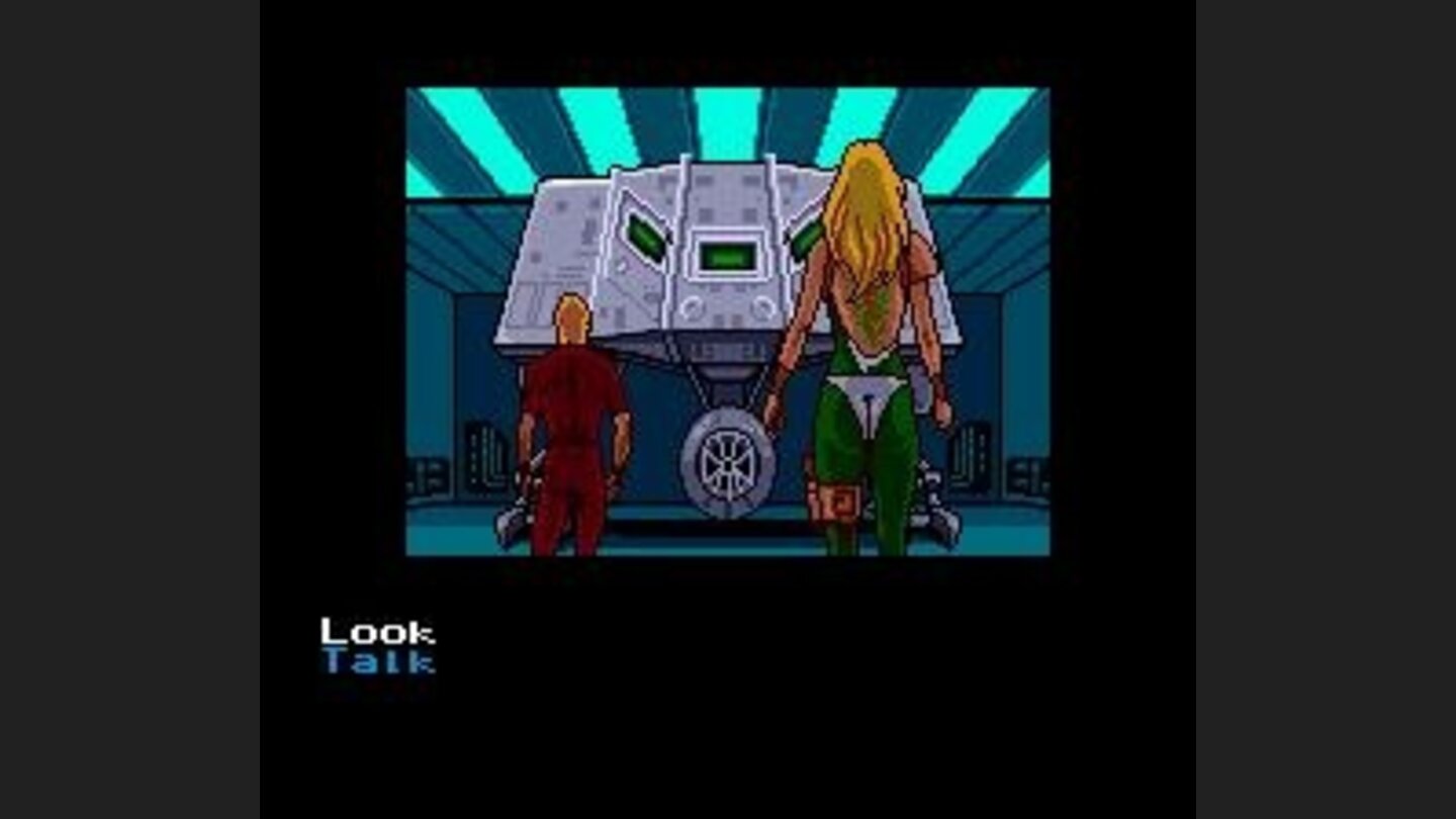 Your ship, the Turtle