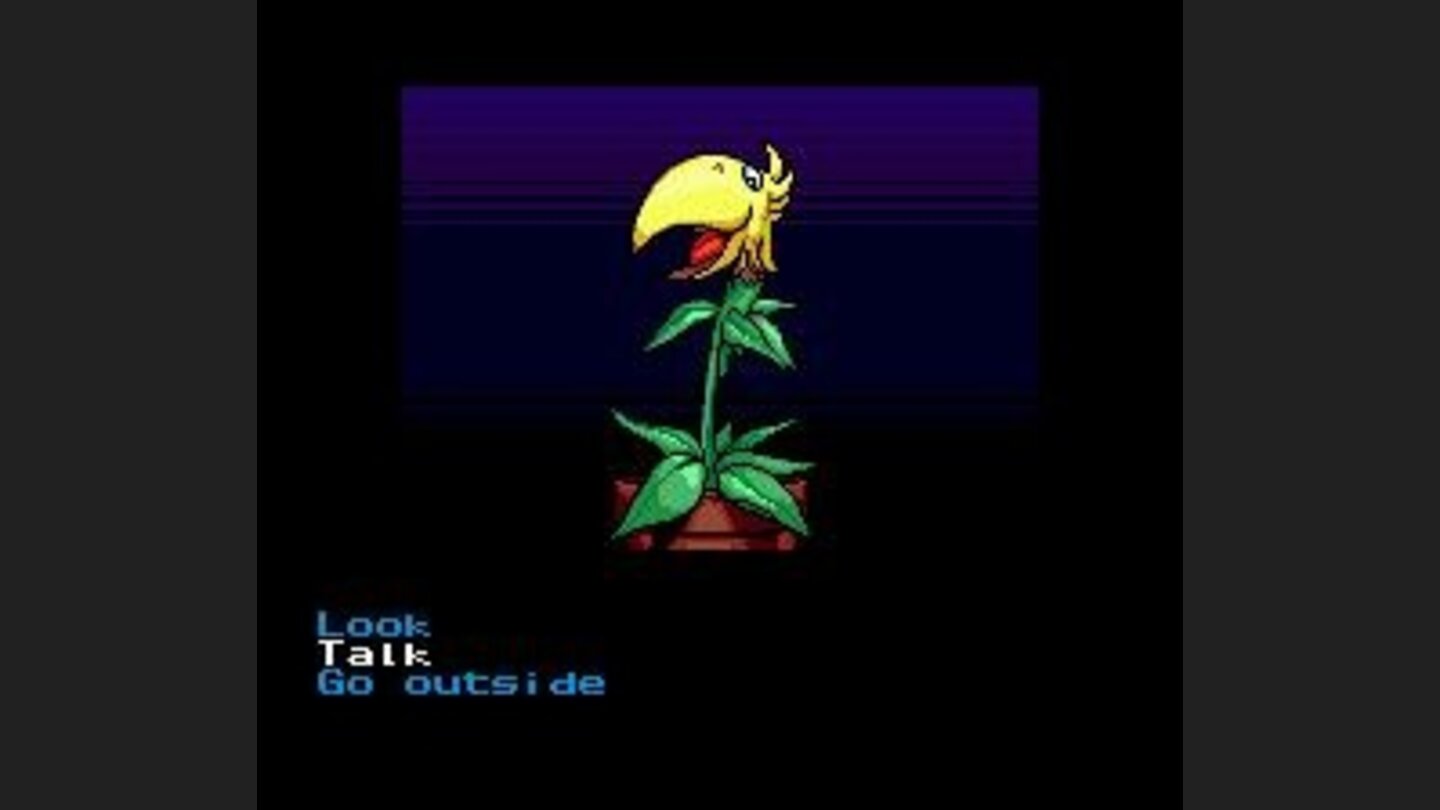 Parrot grass, a talking plant!