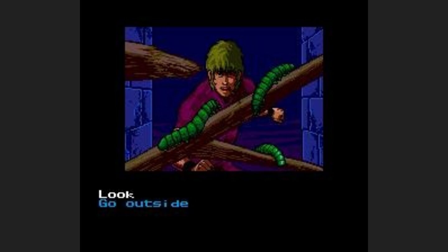 Im afraid of spiders... and snakes... and bugs!! Those are caterpillars, anyway...