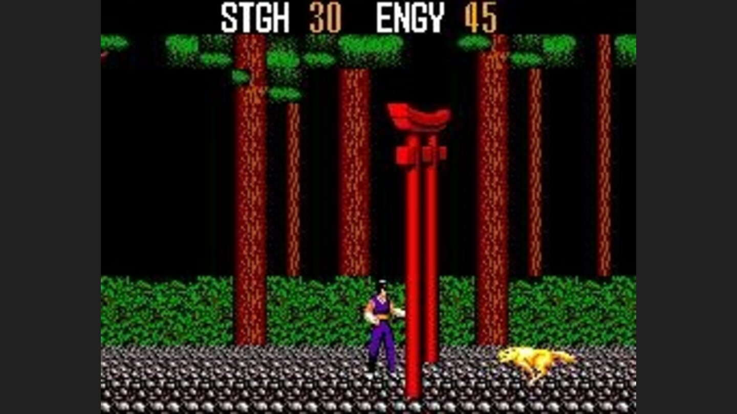 A jaguar approaching Kane