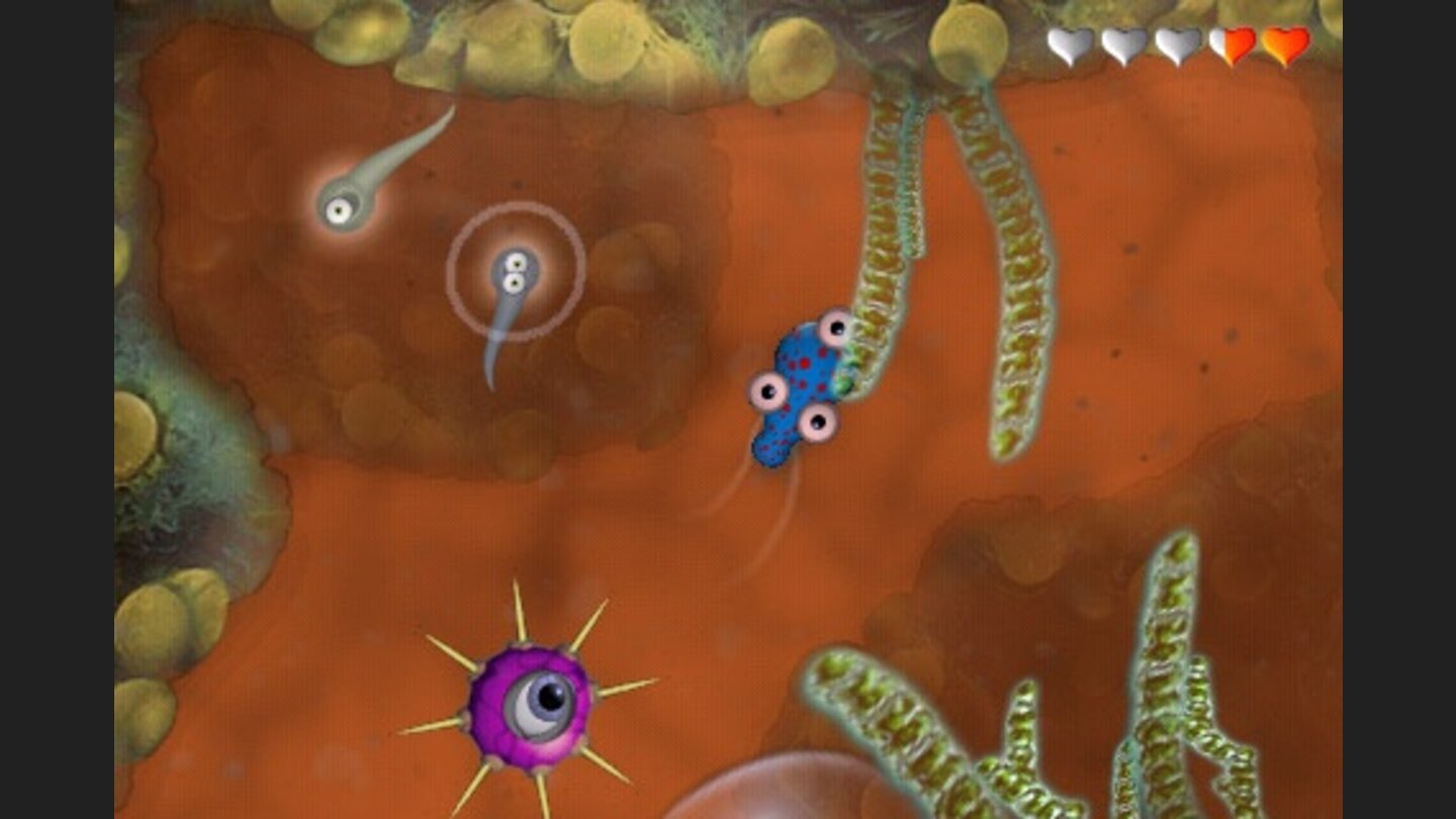 Spore (iPhone)Spore spaltete bei seinem PC-Release die Schar der Tester: Während hohe Kreativität bescheinigt wurde, gab es Mängel im Spielablauf. Dennoch waren die Wertungen durchaus solide. Auf dem iPhone gibt es zwei Ableger dieses Spiels: Origins und Creatures. In Origins erlebt man nur die Ursuppenphase einer Kreatur. Das Resultat ist ein sehr abwechslungsarmes Spiel, in dem ihr mittels Neigung auf die Jagd nach fressbaren Tieren geht und anfangs größeren Feinden aus dem Weg schwimmt. Evolutionspunkte können hin und wieder verteilt werden, wirken sich aber nicht nachhaltig auf das Geschehen aus. Mehr passiert im Grunde nicht, und das ist angesichts der komplexen PC-Fassung schon erschreckend. Der zweite Ableger „Creatures“ muss mit einer neu angelegten Kreatur gespielt werden, ihr dürft eure Ursuppen-Kreation nicht importieren. Diesmal verlegt sich die Handlung auf das Land. Ihr könnt im Lauf des Spiels die Kreatur tatsächlich nach eigenem Gutdünken verändern – was aber schon wieder gleich bleibt, ist der monotone Ablauf. Wir drücken es mal mit einem Reim aus: Auf dem iPhone bleibt Spore besser außen vor!