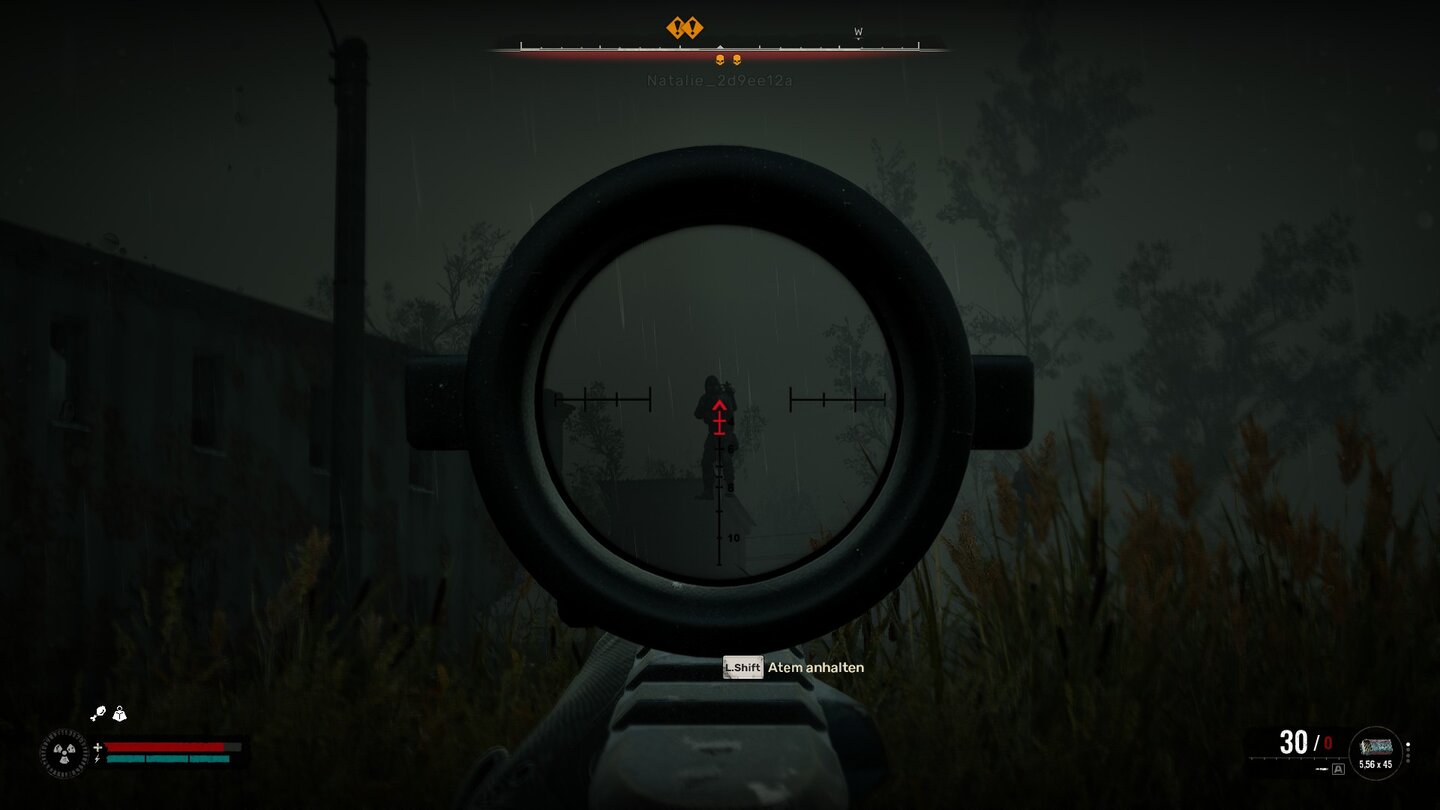 Stalker 2 Bug aus der Testversion