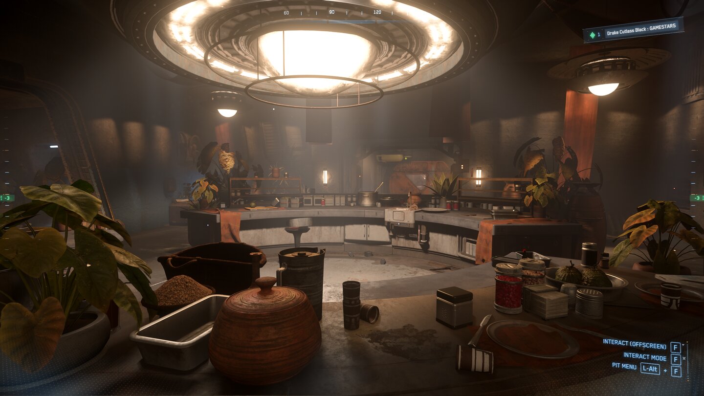 Star Citizen (17)