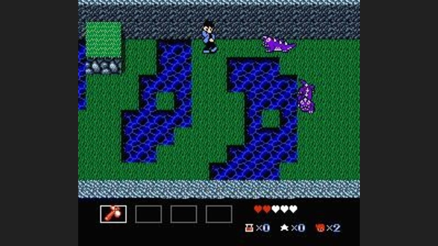 Fighting purple lizards