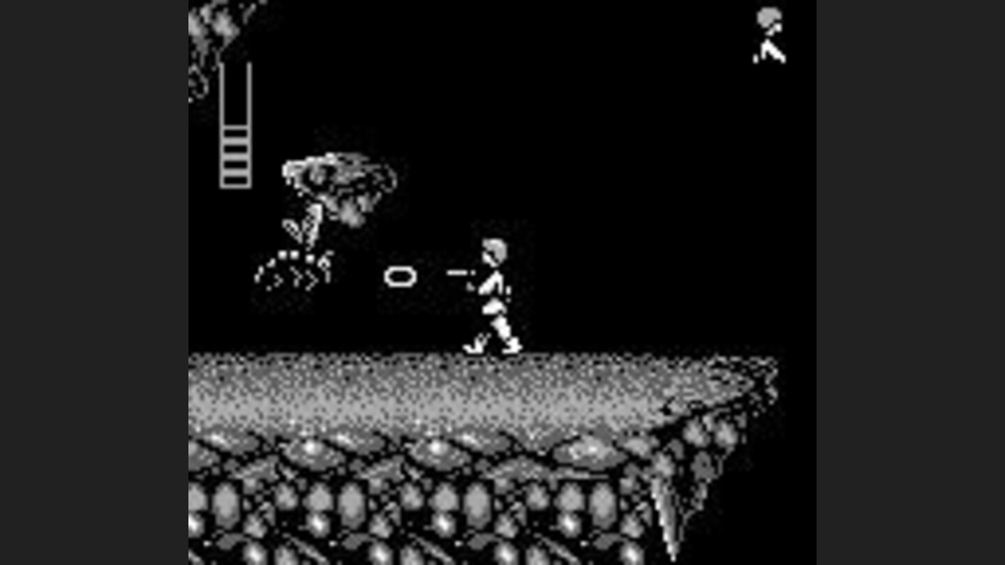 This bug has a powerful attack. Kill it before something of bad happens!