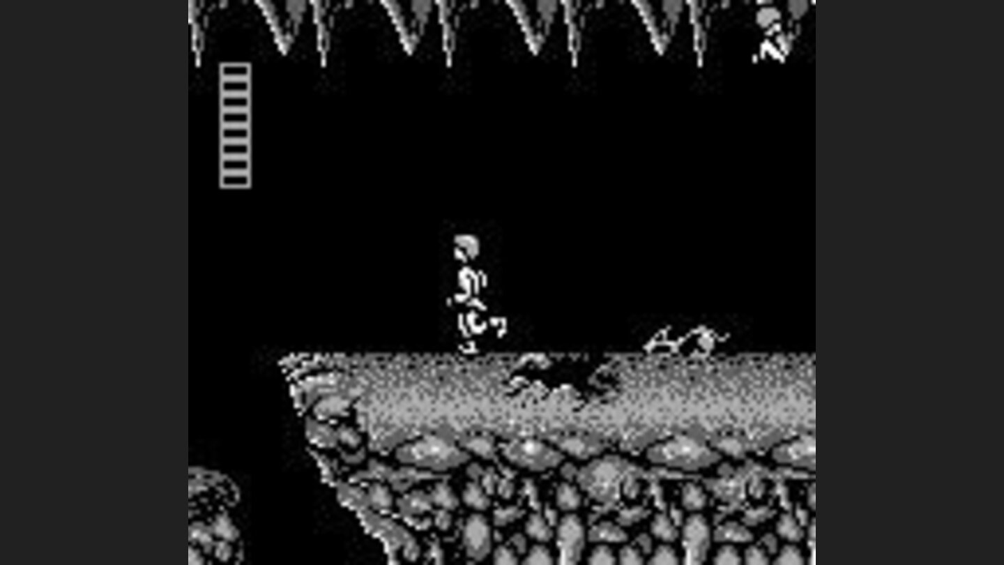 This animal runs behind you and it attacks with ferocity. Run, Luke, run!