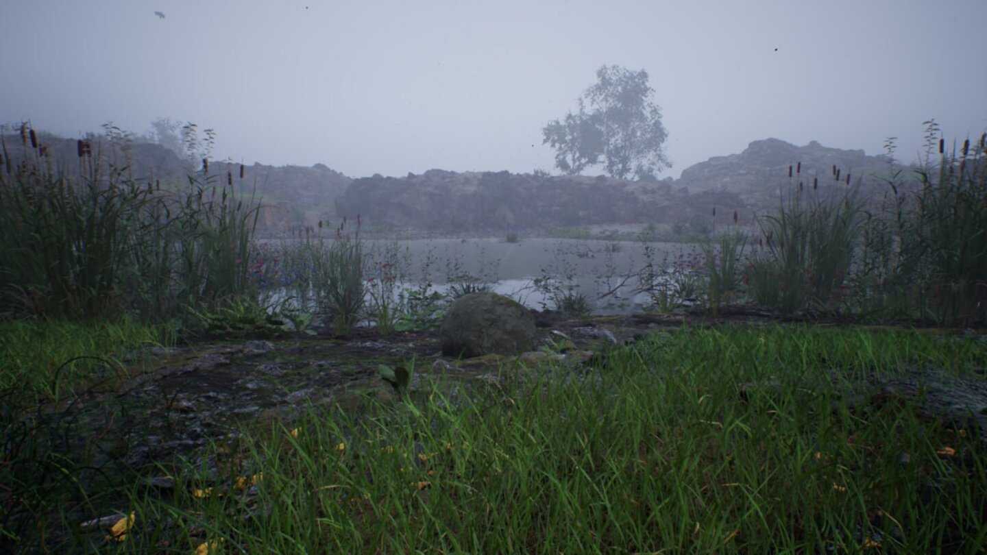Stone Simulator