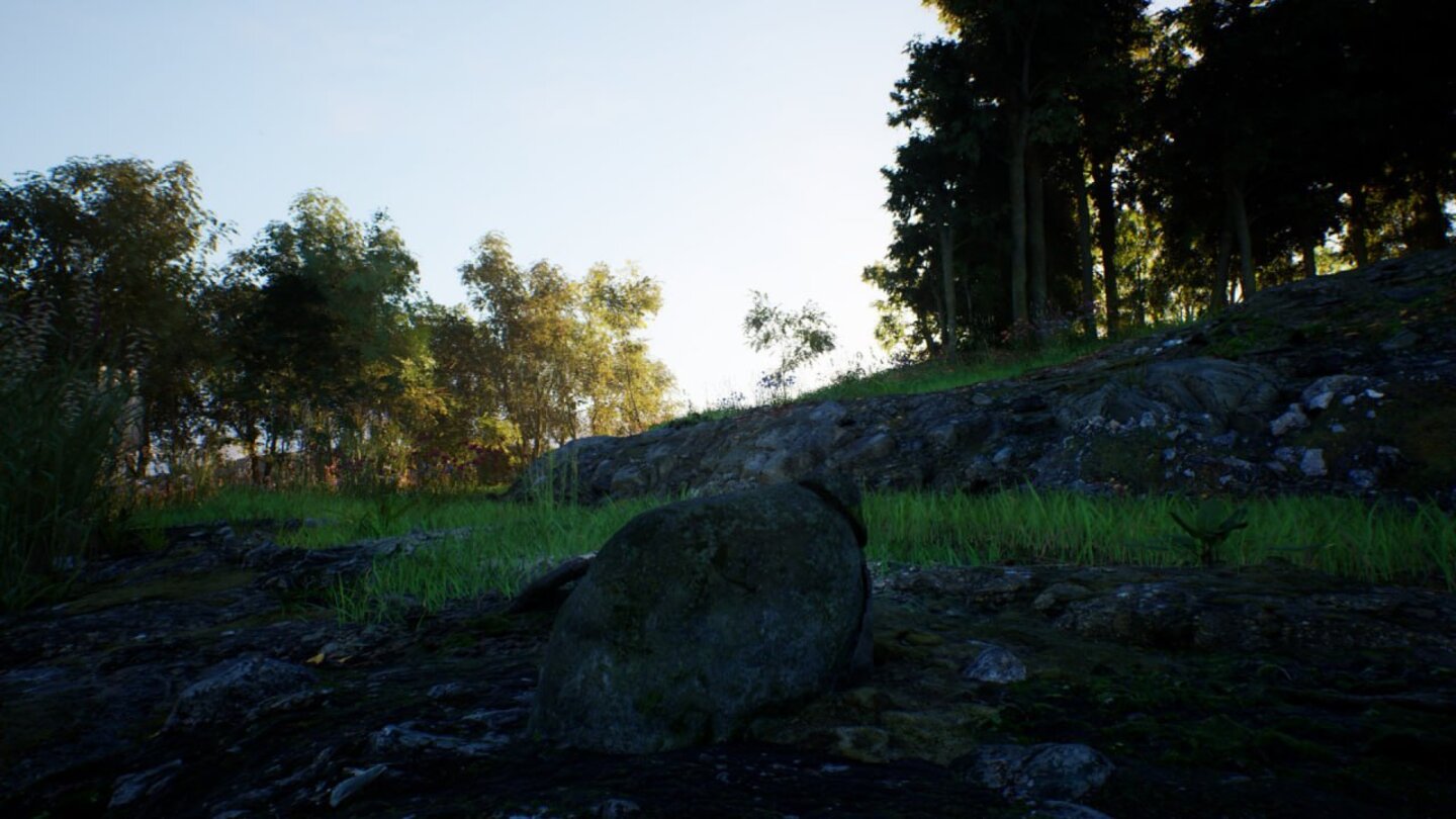 Stone Simulator