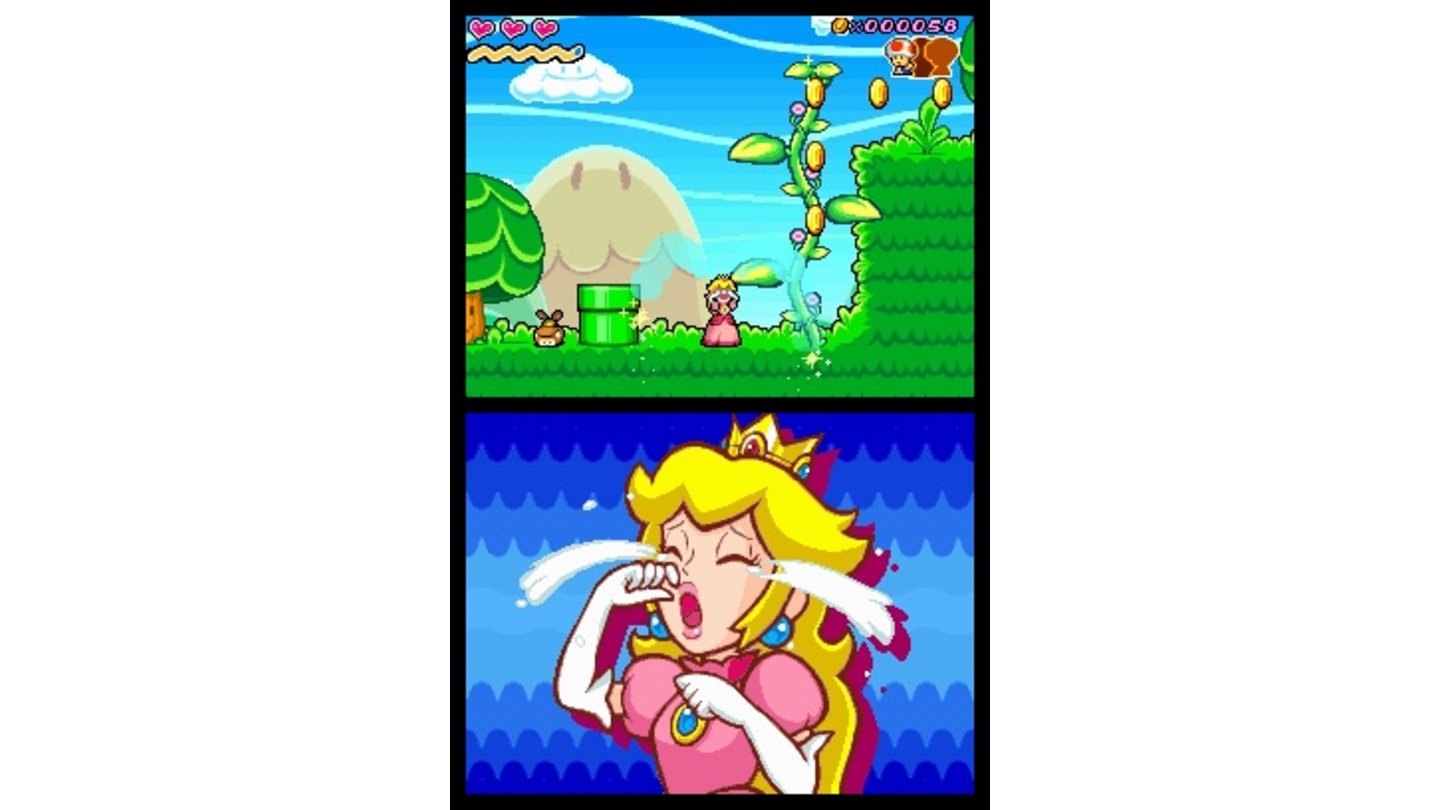Super Princess Peach_DS 7
