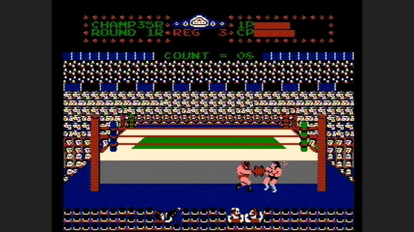 Fell out of the ring