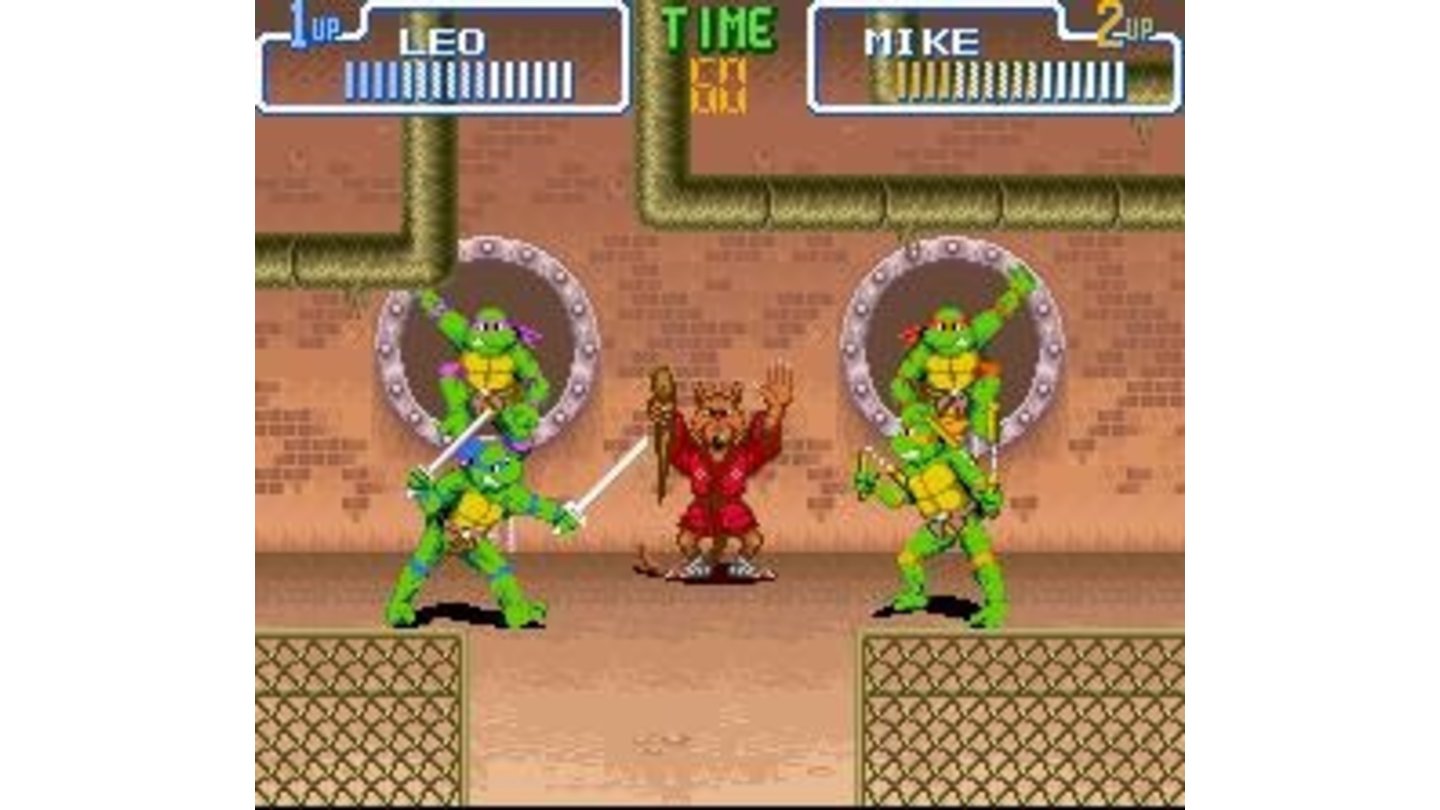 Versus mode is a Street Fighter-like turtle battle.
