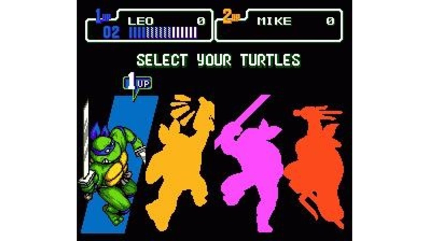 turtle selection