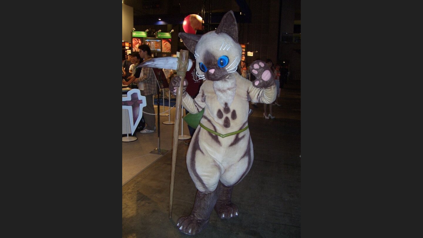 tgs 06 messeimpressionen 15