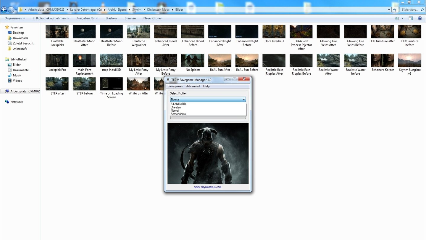 The Elder Scrolls 5: Skyrim - TES V Savegamer ManagerDer TES V Savegame Manager lässt Sie verschiedene Profile anlegen und verwalten.