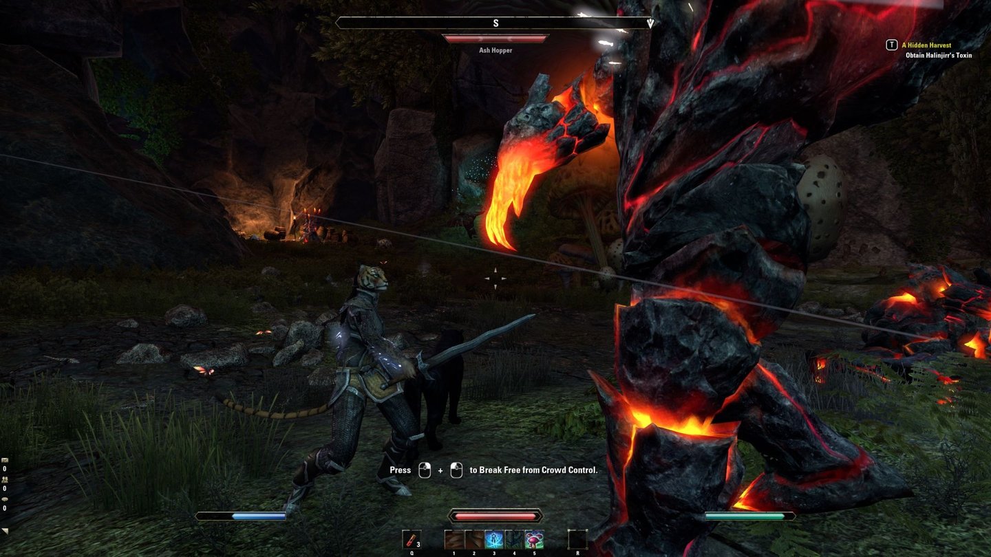 The Elder Scrolls Online MorrowindAb und zu treffen wir auf Endgegner, wie dieses lebende Nest von Feuerfliegen.