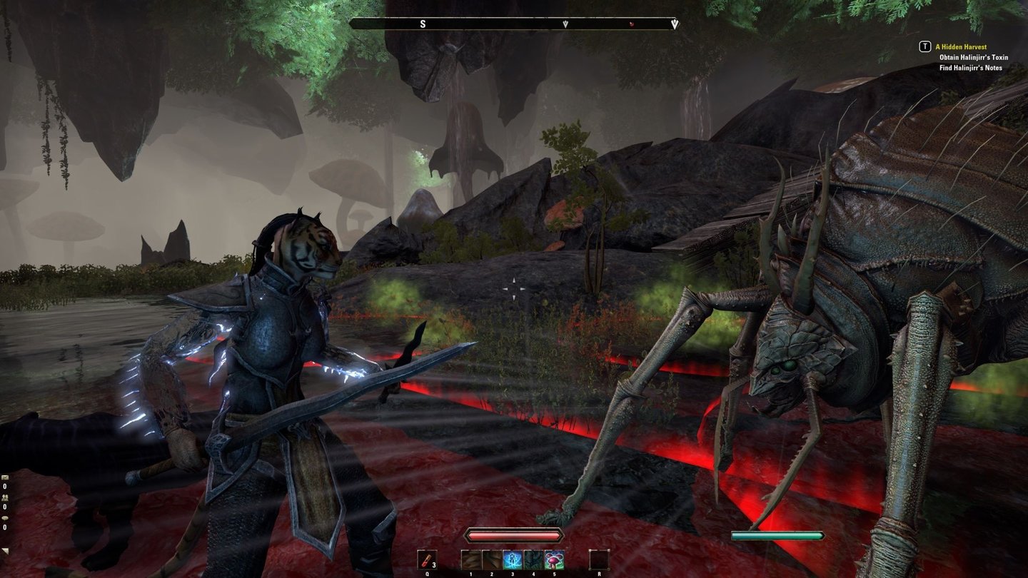 The Elder Scrolls Online MorrowindKatze gegen Käfer-Monstrum. In einer Höhle trifft unsere Khajiit auf einen Nix-Ochsen.