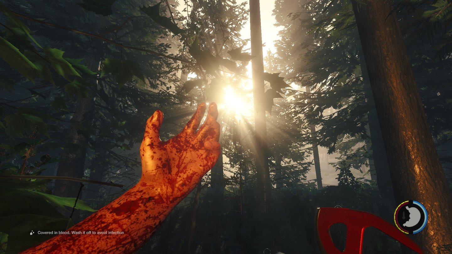 The Forest - Screenshots aus Version 0.06Die Wechsel zwischen purer Schönheit der Natur und den grausamen und brutalen Kämpfen gegen die Kannibalen, hinterlassen oft ein mulmiges Gefühl.