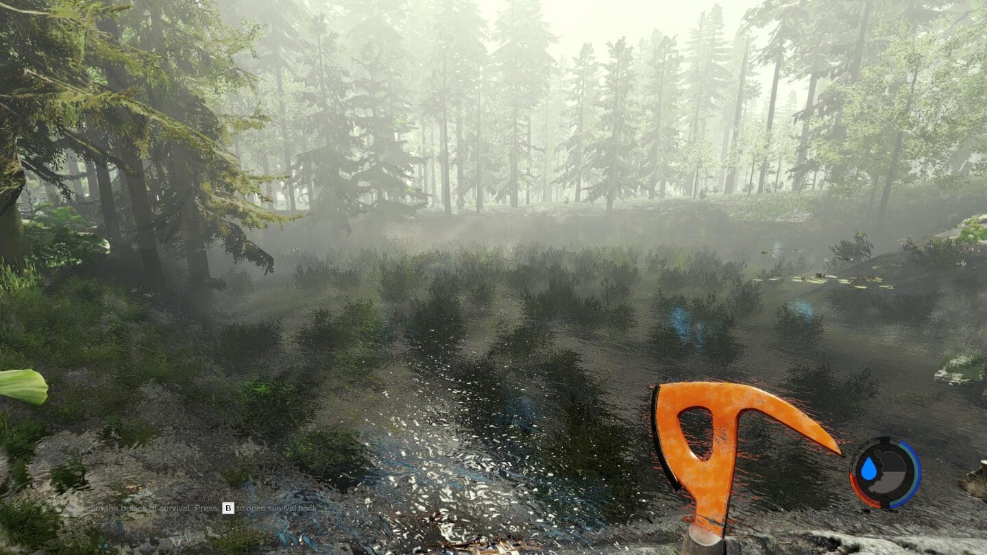 The Forest - Screenshots aus Version 0.20Vor allem die Gewässer auf der Insel haben vom Update profitiert.