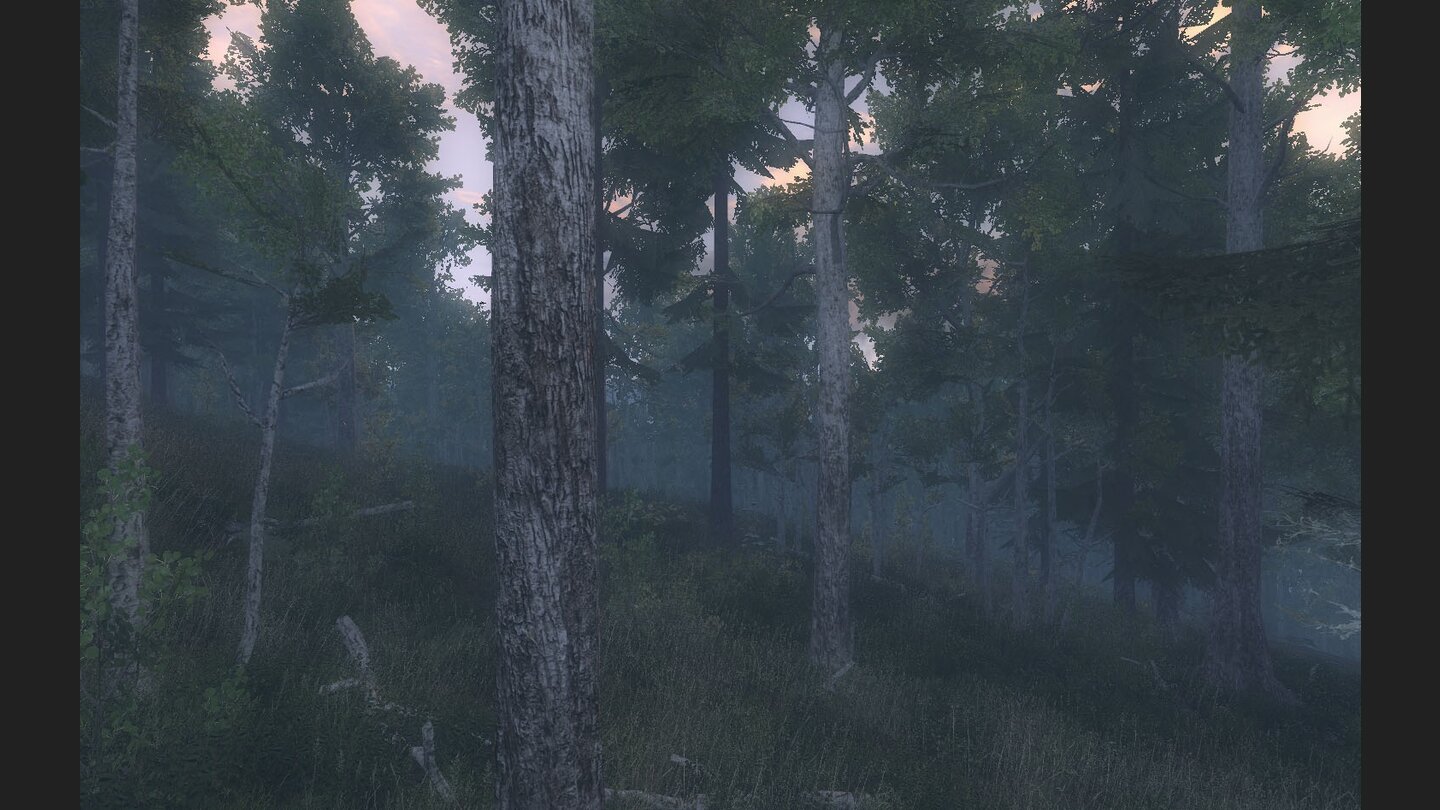 The Hunter