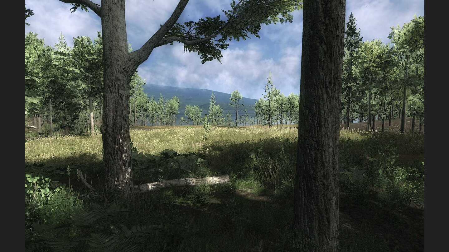 The Hunter