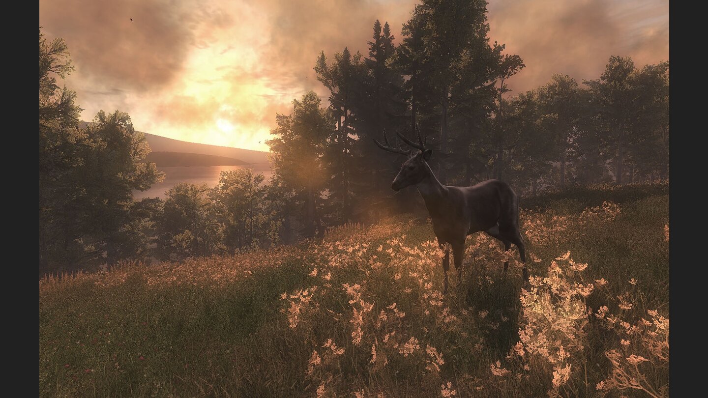 The Hunter