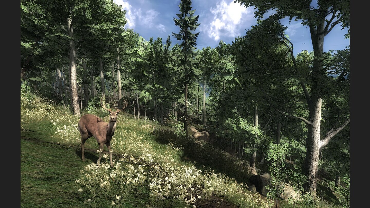 The Hunter