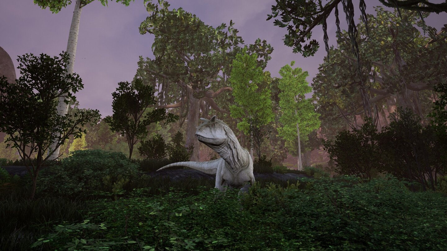 The Isle