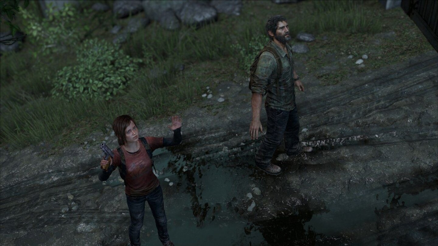 The Last of Us