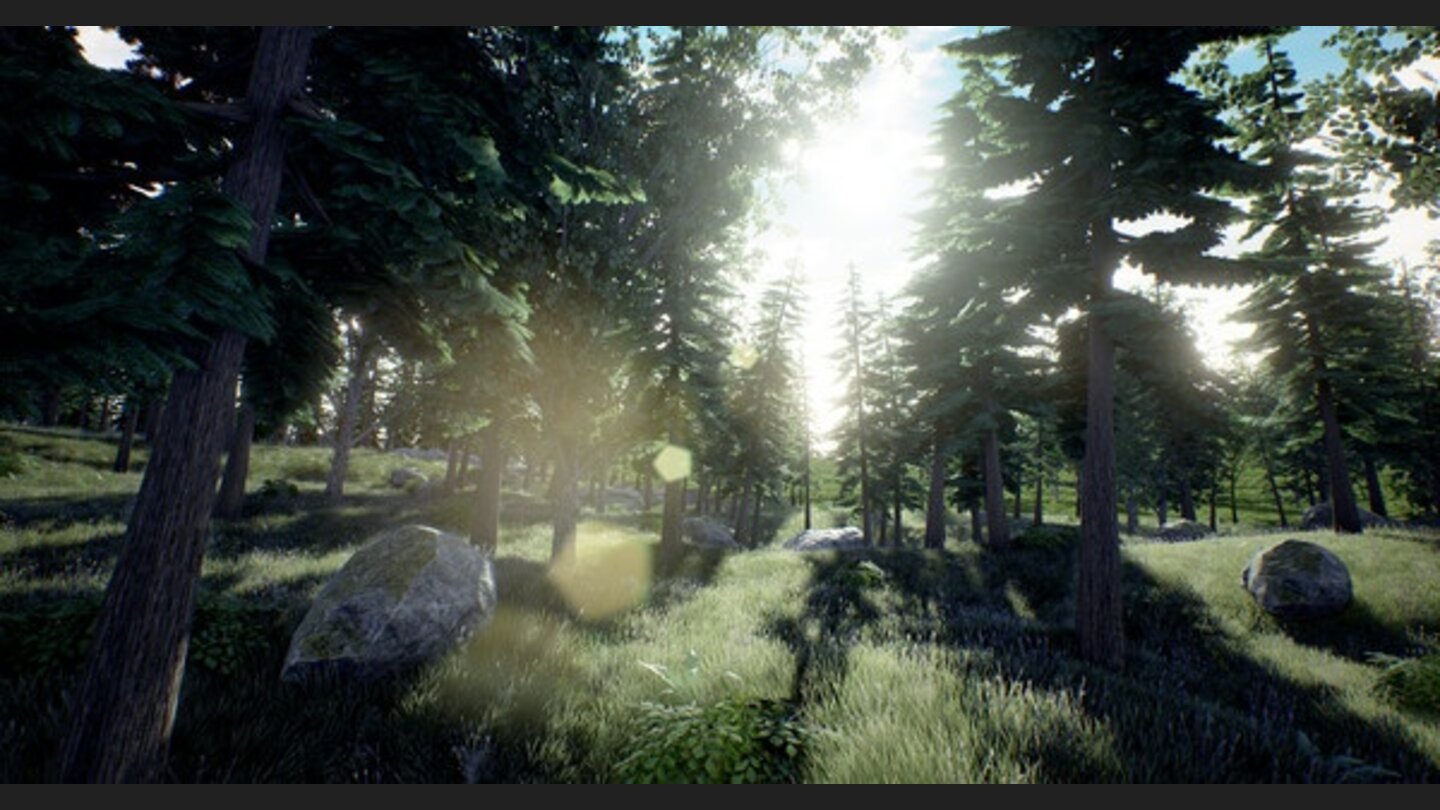The Lost Island
